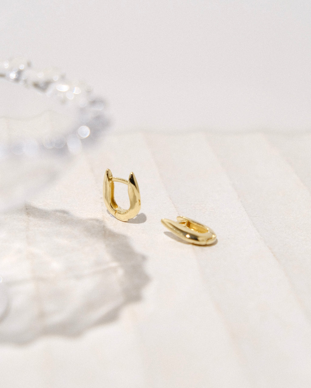 Xenox Gold Filled Hoops