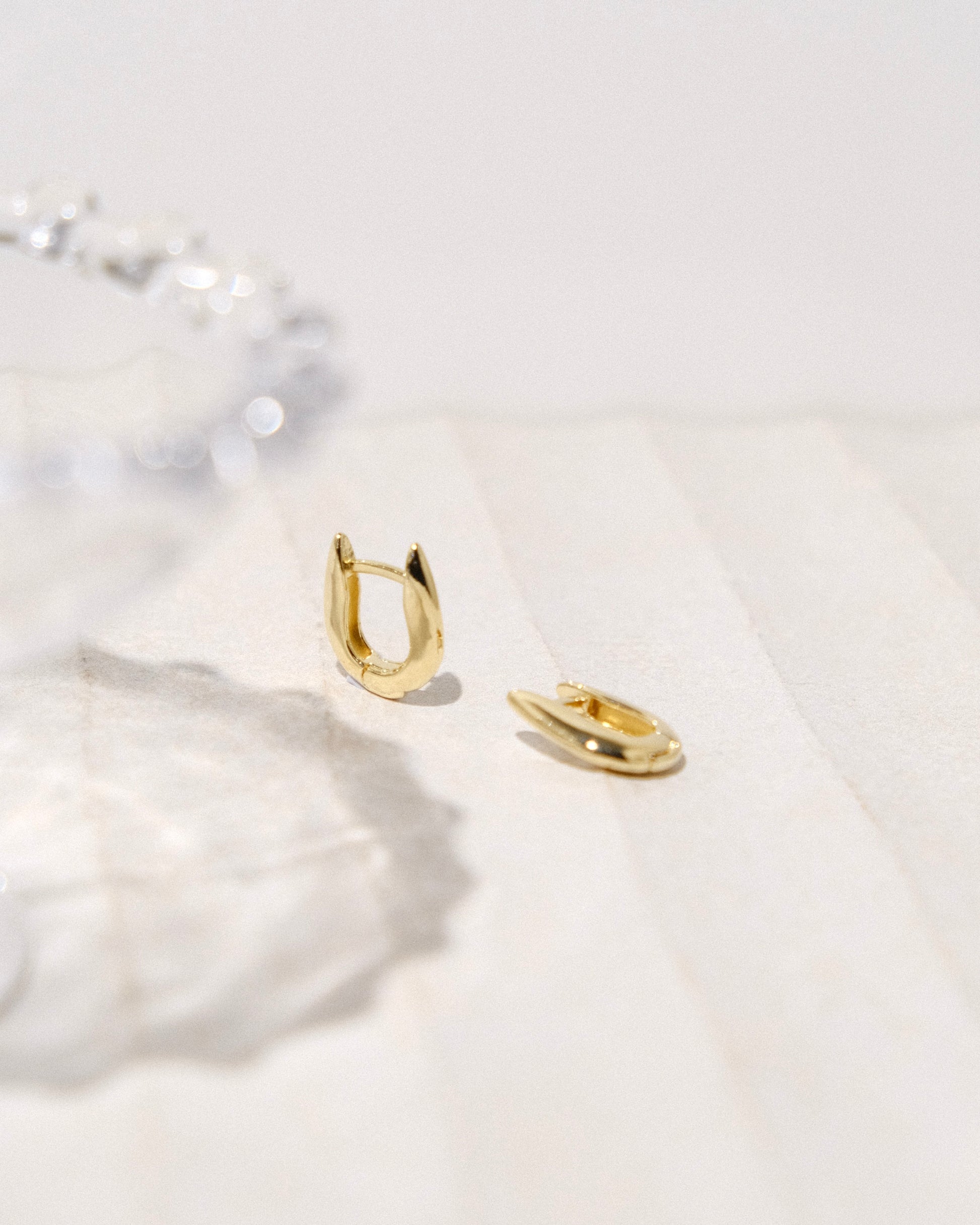 Xenox Gold Filled Hoops