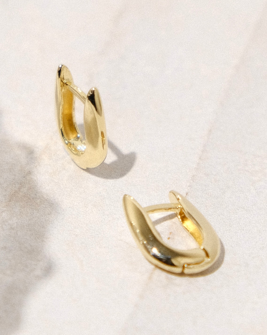 Xenox Gold Filled Hoops